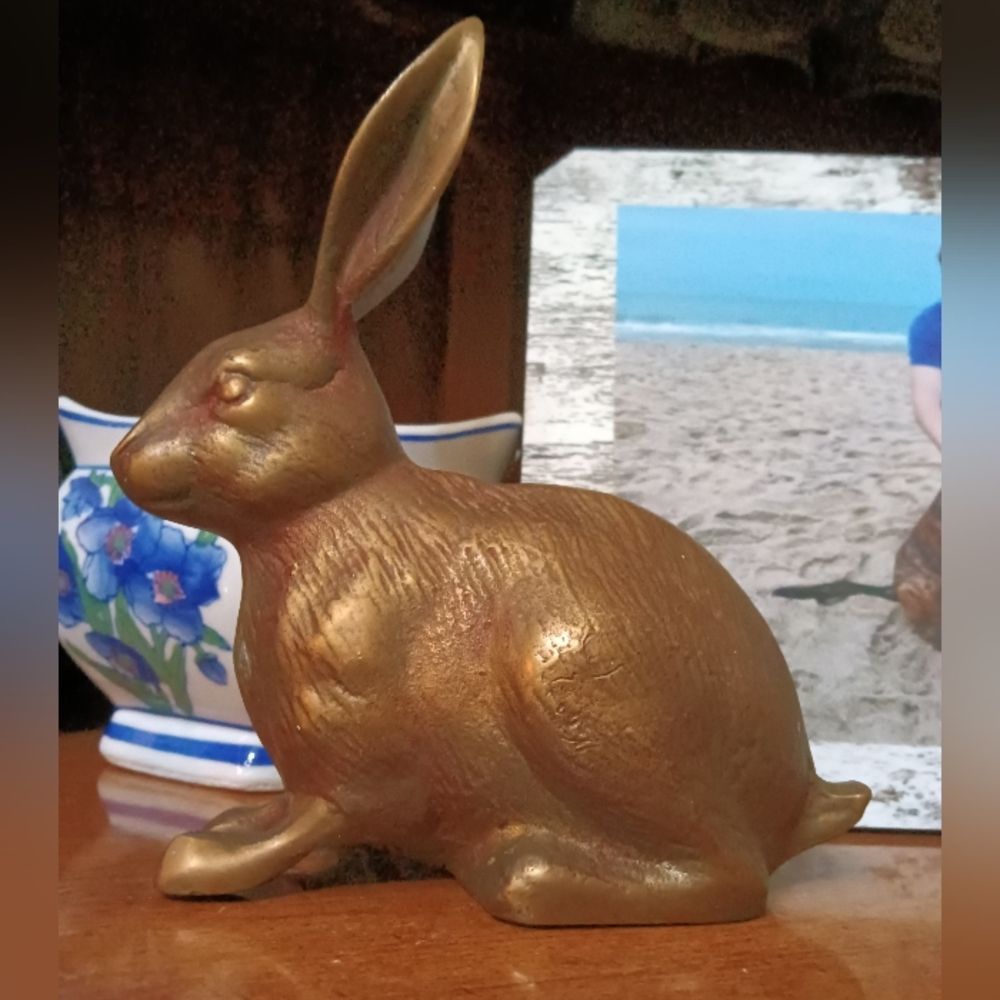 Pure Brass Rabbit Heavy - Picture 4 of 7